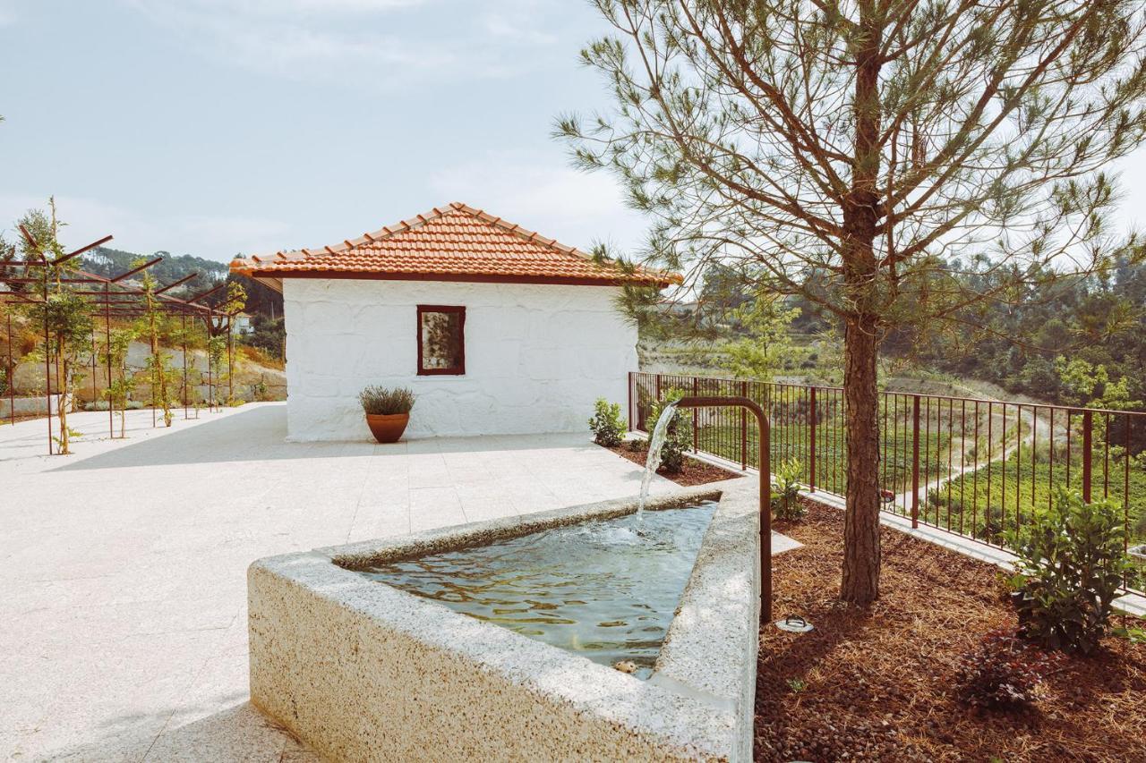 Oliveiras Village — Agroturismo Amarante Buitenkant foto